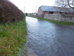 Our road/river 