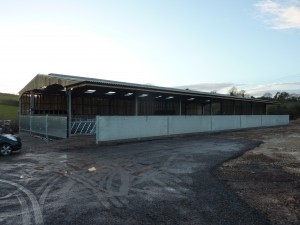 New Shed completed