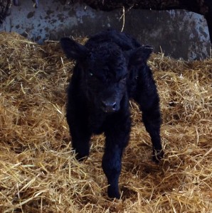Little cutie