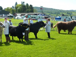 welsh spring festival 2013 016