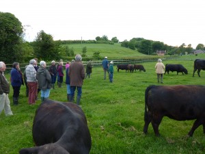 smallholder visit 007