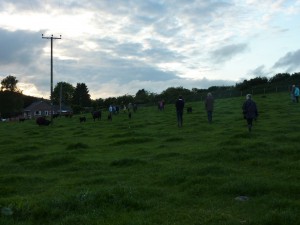 Enjoyable evening