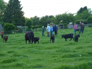 smallholder visit 010