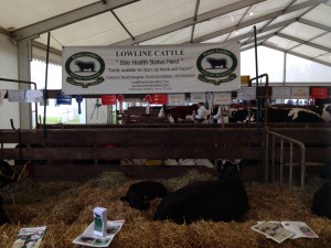Good day showing in kent today