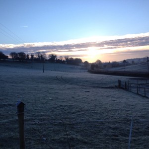 Cold frosty morning