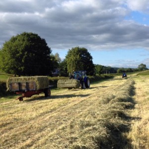 Hay time