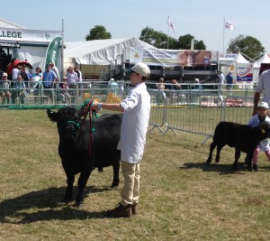 Young handlers at kent show