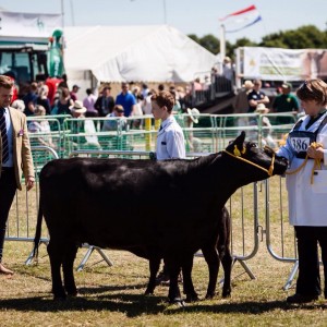 Official photos from kent show